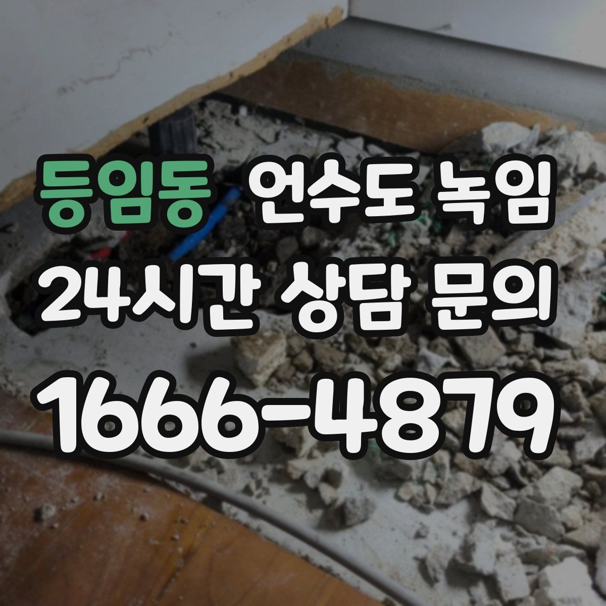 등임동 언수도 녹임