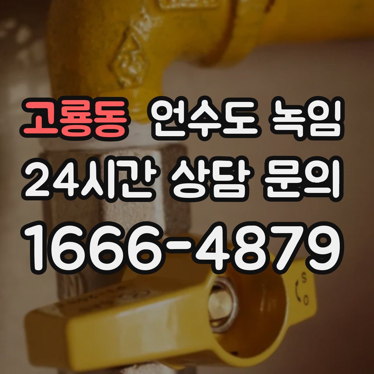 고룡동 언수도 녹임