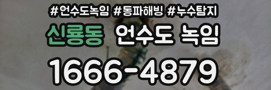 신룡동 언수도 녹임