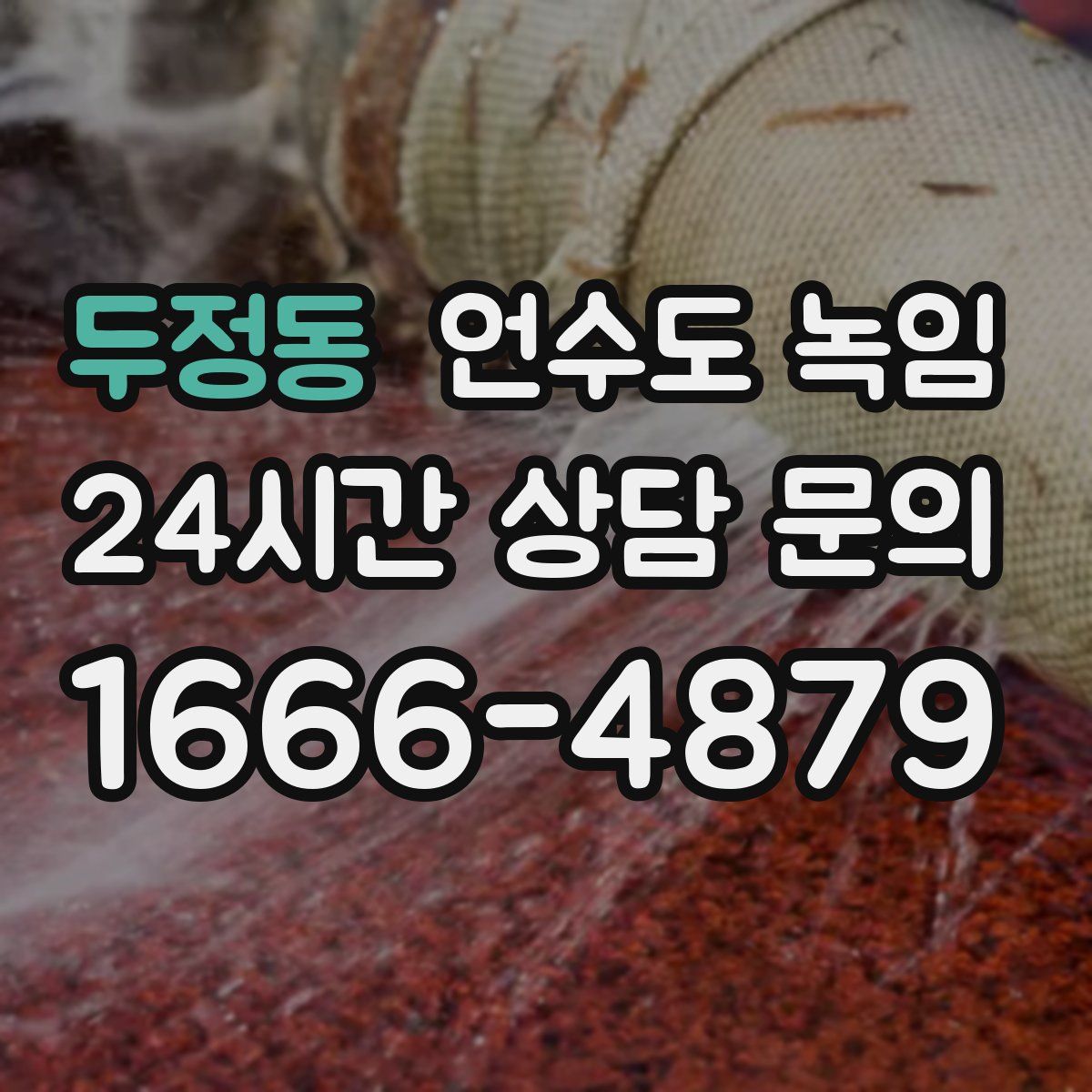 두정동 언수도 녹임