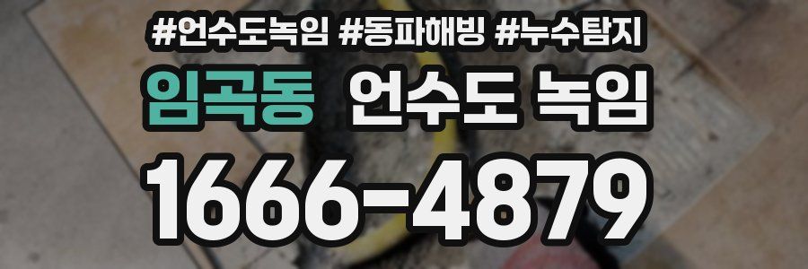 임곡동 언수도 녹임