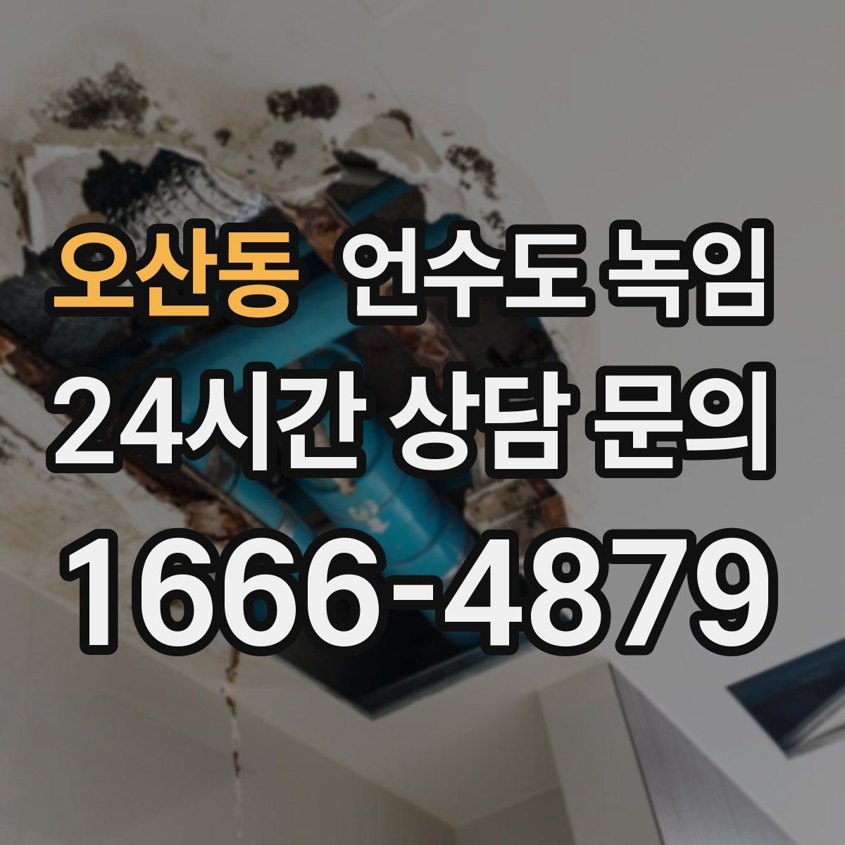 오산동 언수도 녹임