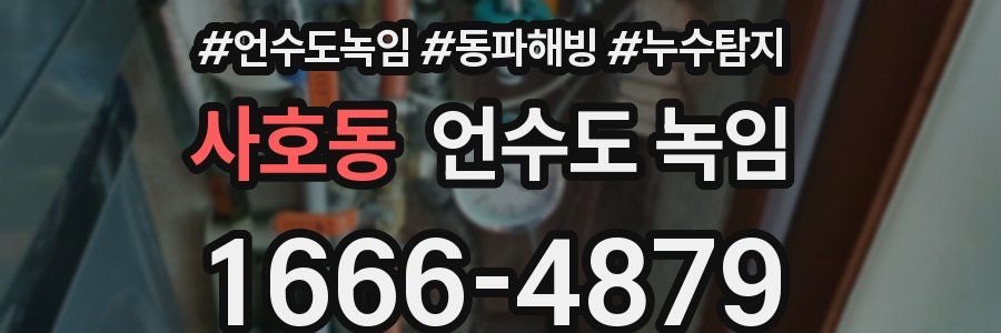 사호동 언수도 녹임