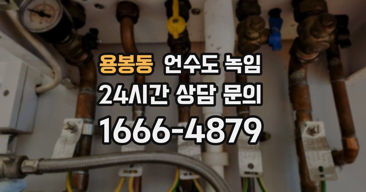 용봉동 언수도 녹임