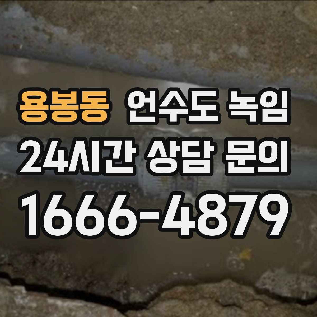 용봉동 언수도 녹임