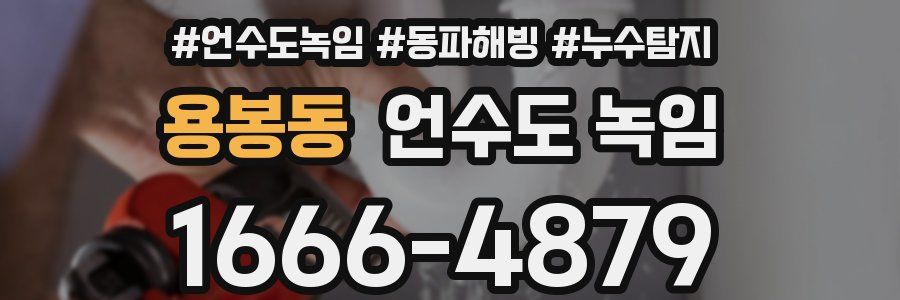 용봉동 언수도 녹임