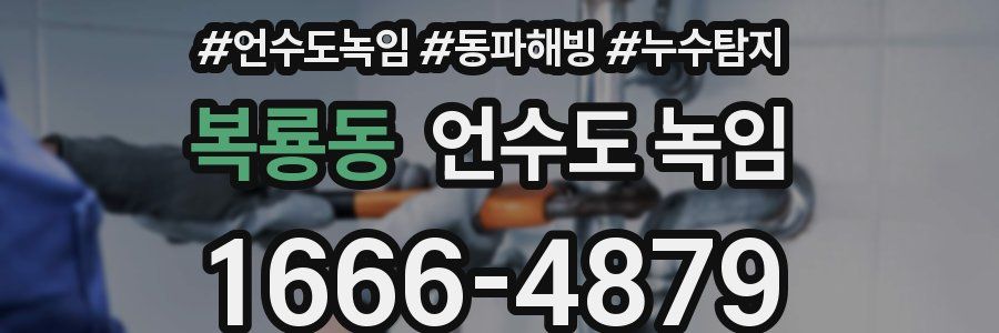 복룡동 언수도 녹임