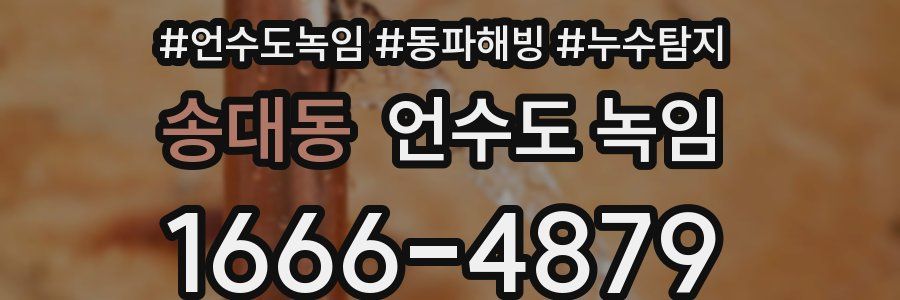 송대동 언수도 녹임