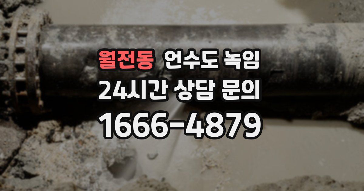 월전동 언수도 녹임