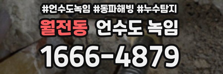 월전동 언수도 녹임