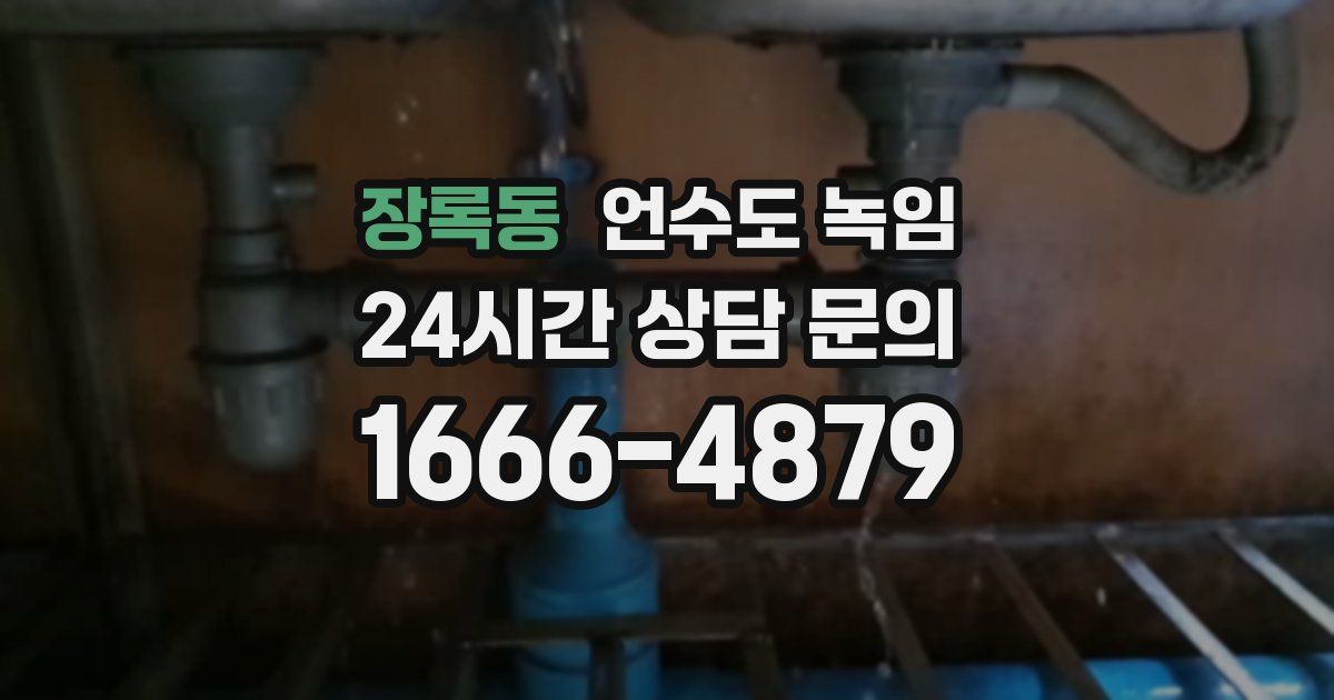 장록동 언수도 녹임