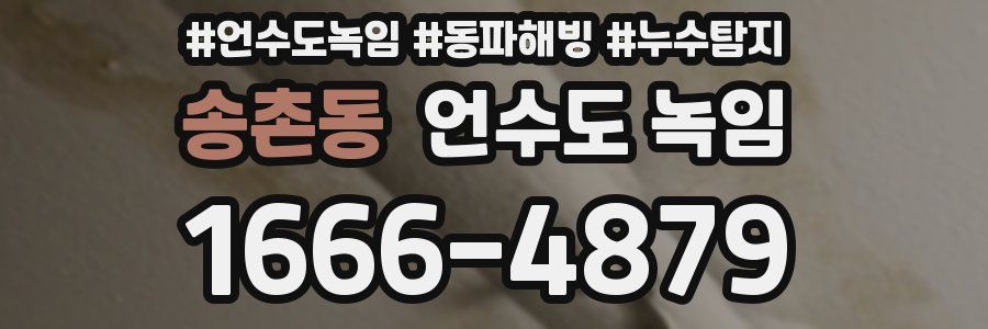 송촌동 언수도 녹임