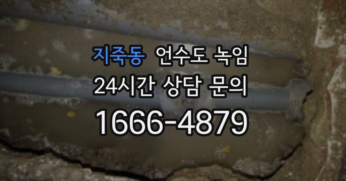 지죽동 언수도 녹임