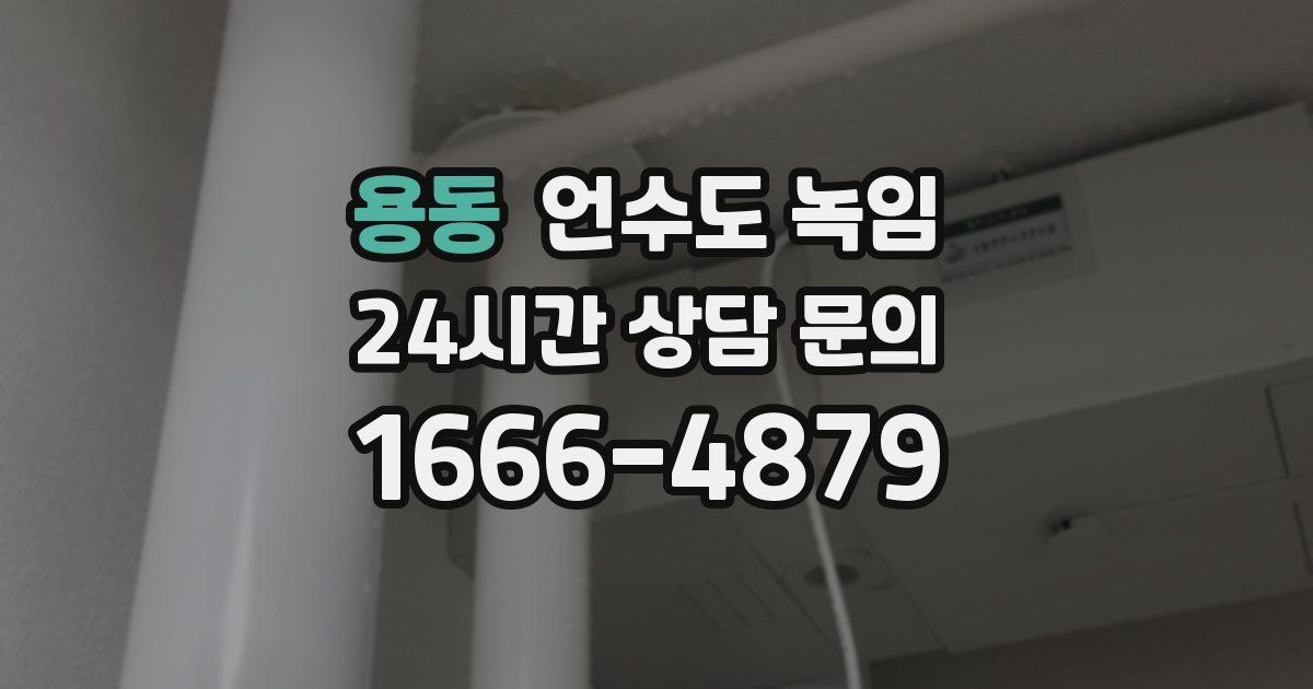 용동 언수도 녹임