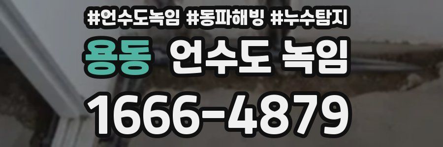 용동 언수도 녹임