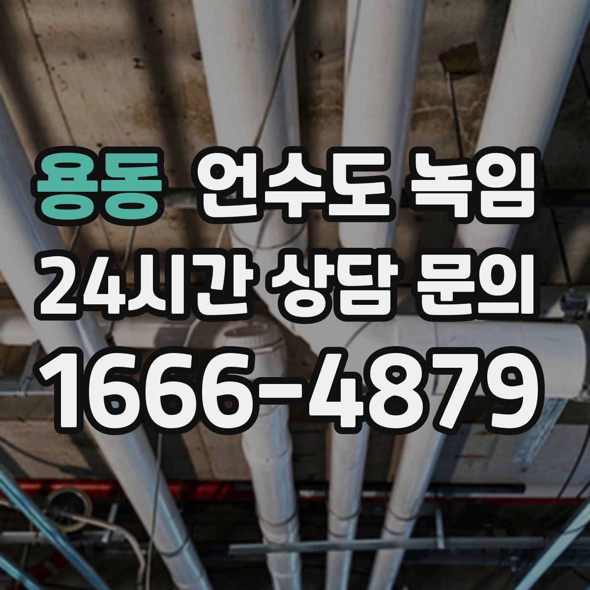 용동 언수도 녹임