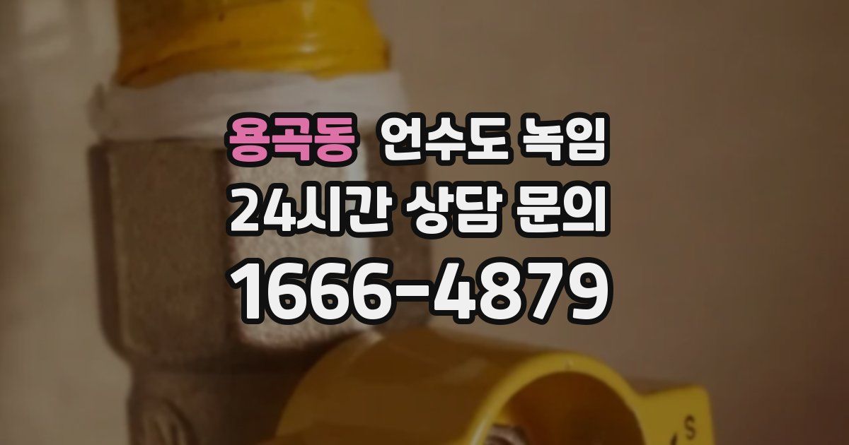 용곡동 언수도 녹임