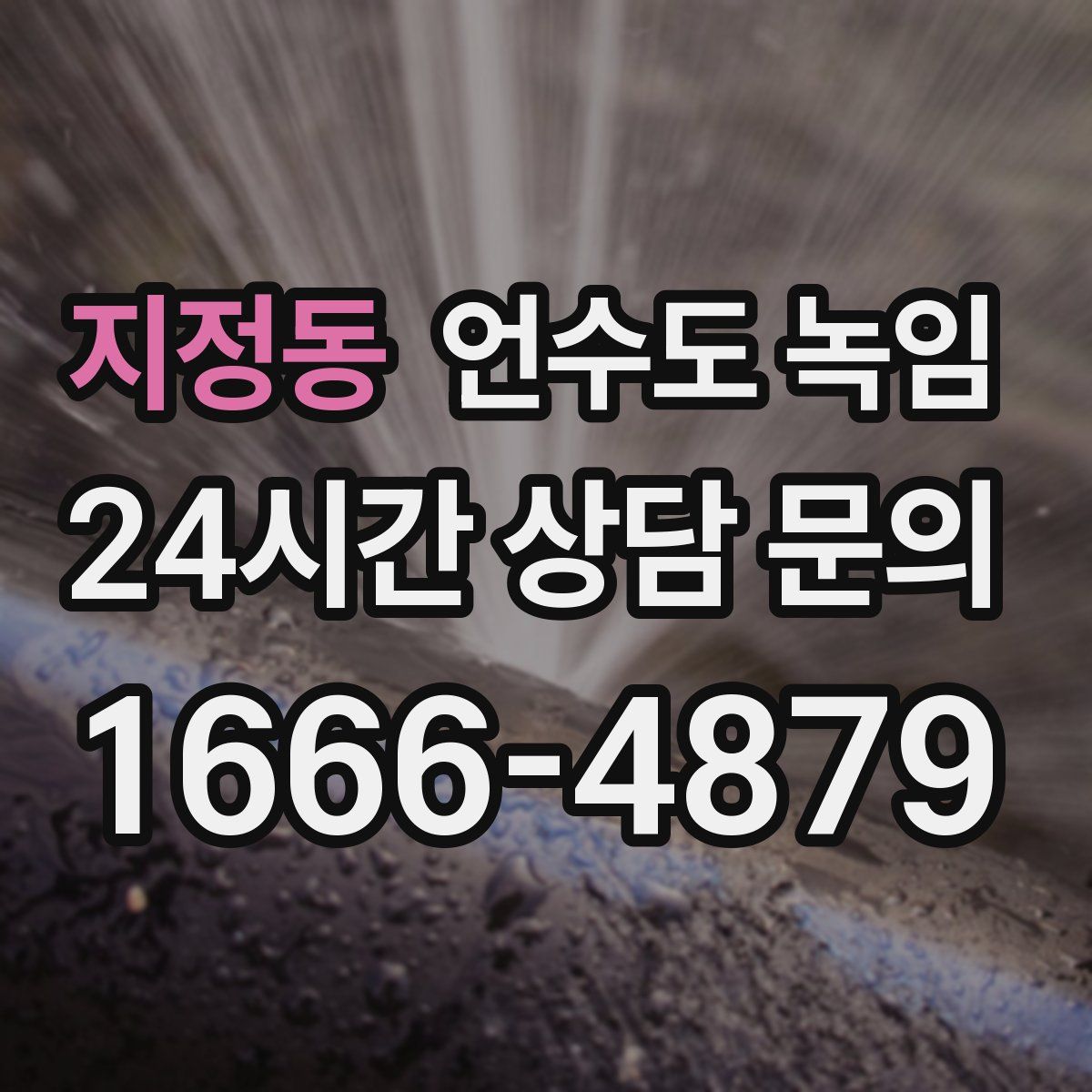 지정동 언수도 녹임