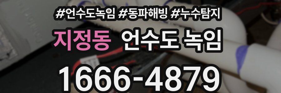 지정동 언수도 녹임