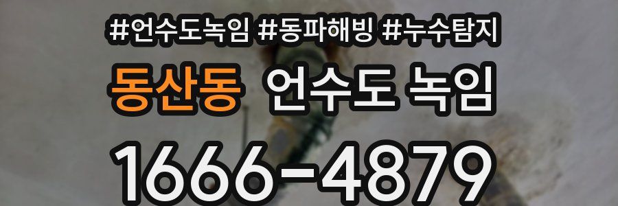 동산동 언수도 녹임