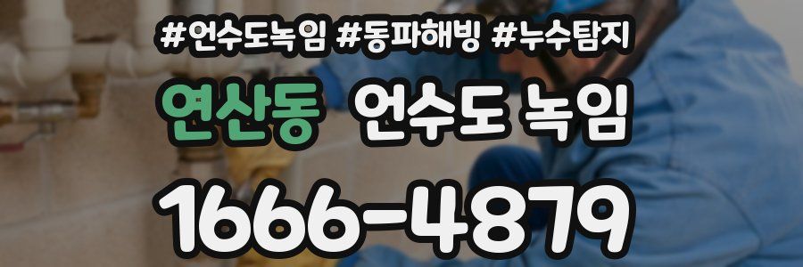 연산동 언수도 녹임