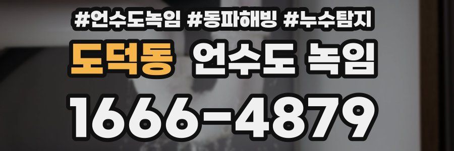 도덕동 언수도 녹임