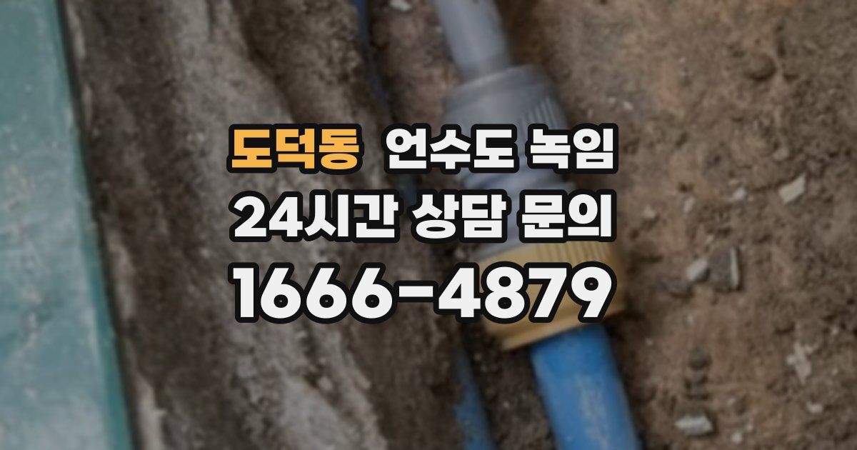 도덕동 언수도 녹임