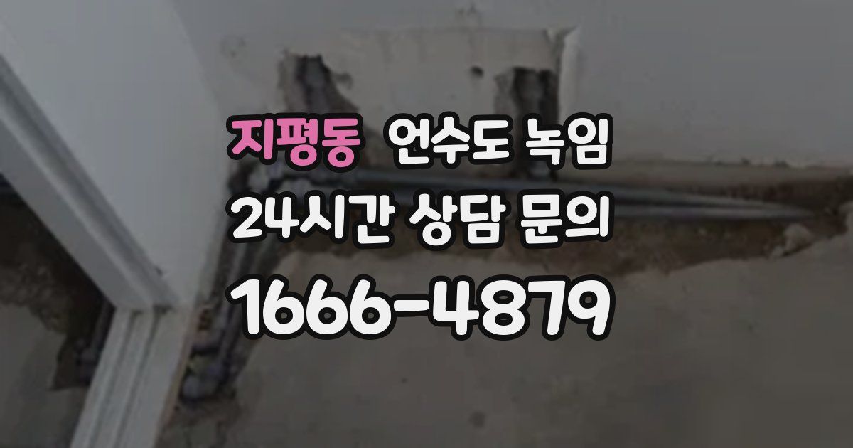 지평동 언수도 녹임