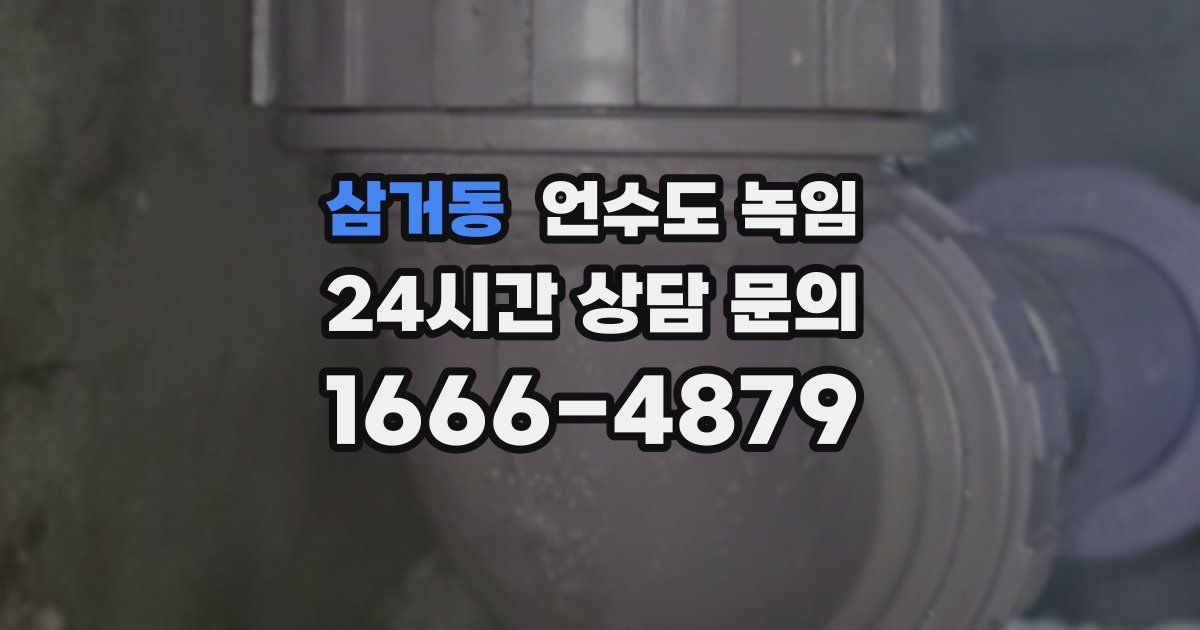 삼거동 언수도 녹임