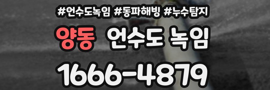 양동 언수도 녹임