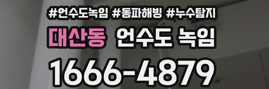 대산동 언수도 녹임