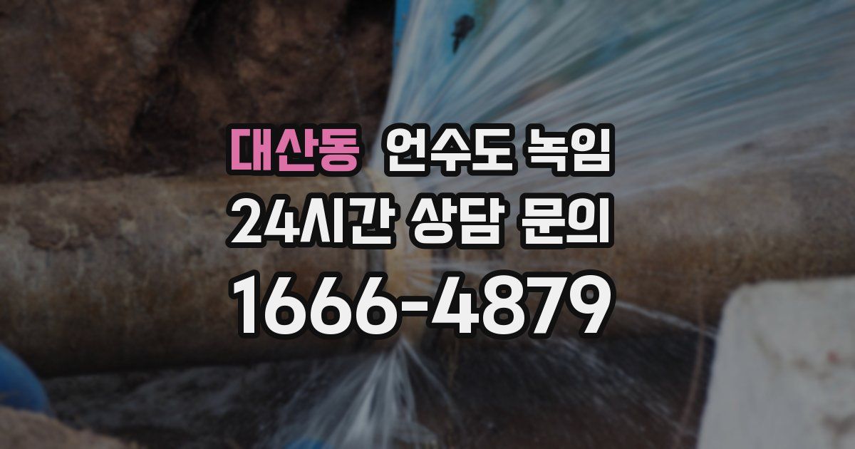 대산동 언수도 녹임