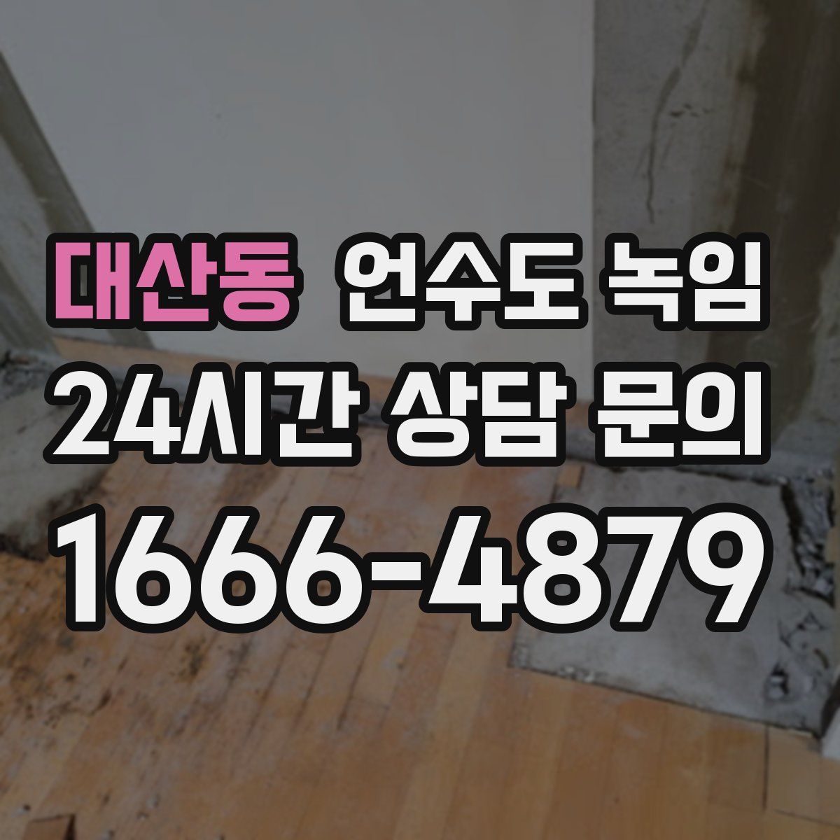 대산동 언수도 녹임