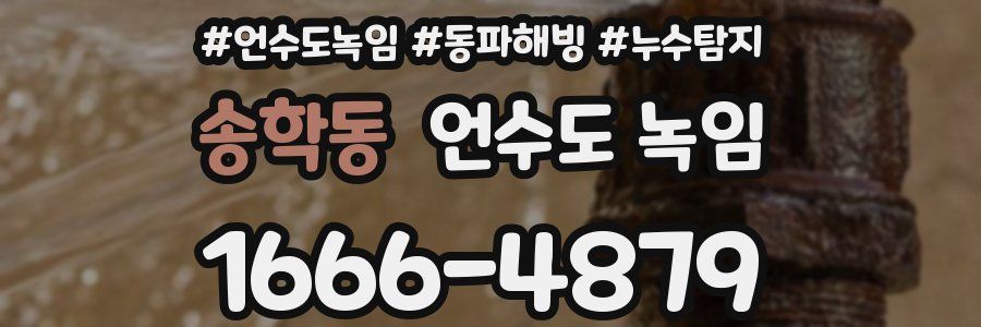 송학동 언수도 녹임