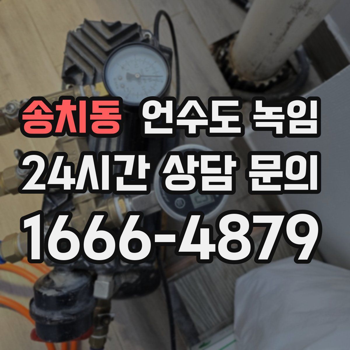 송치동 언수도 녹임