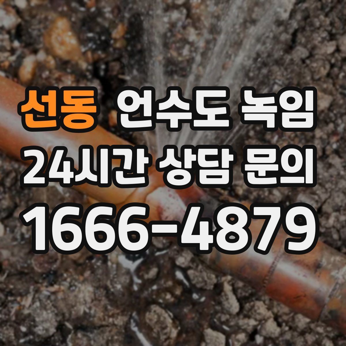 선동 언수도 녹임 오늘 바로 해결하고 싶은 분을 위한 체크리스트