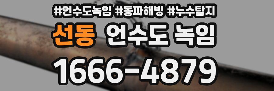 선동 언수도 녹임