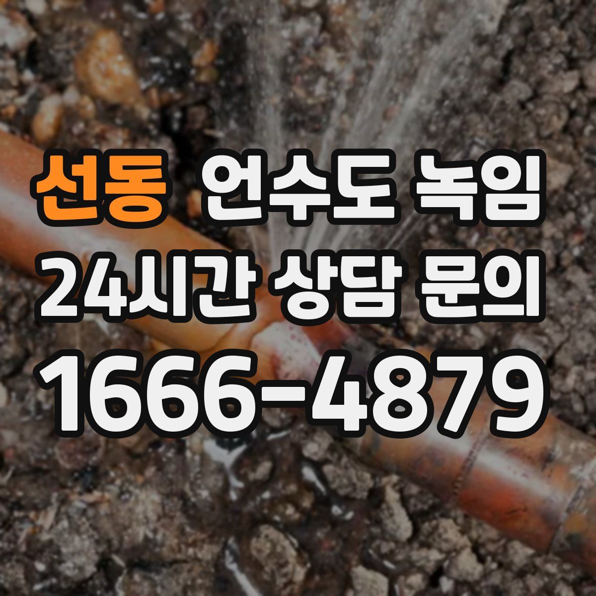 선동 언수도 녹임