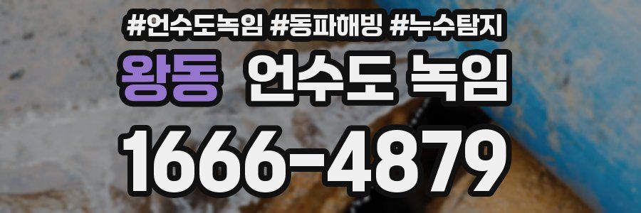 왕동 언수도 녹임