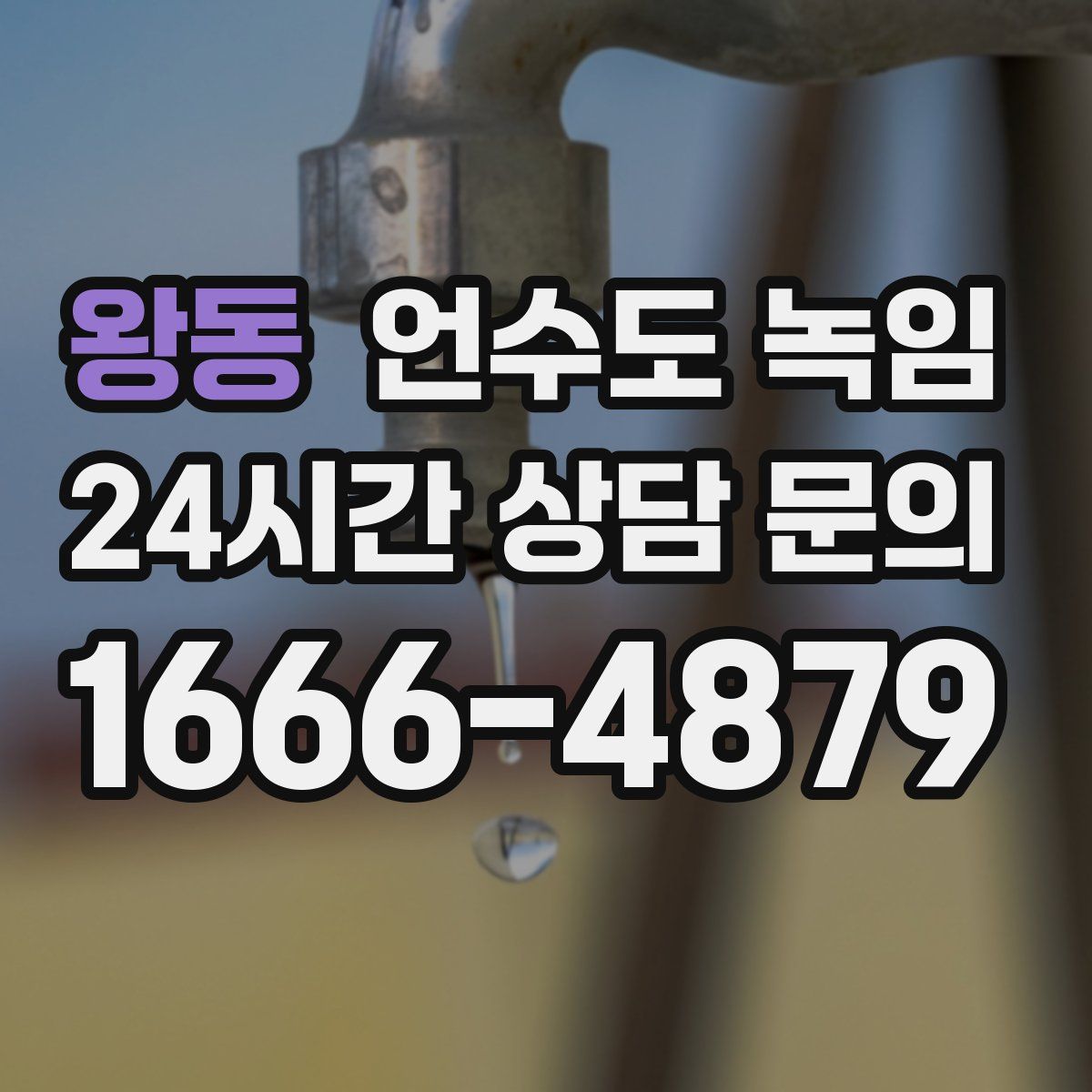 왕동 언수도 녹임