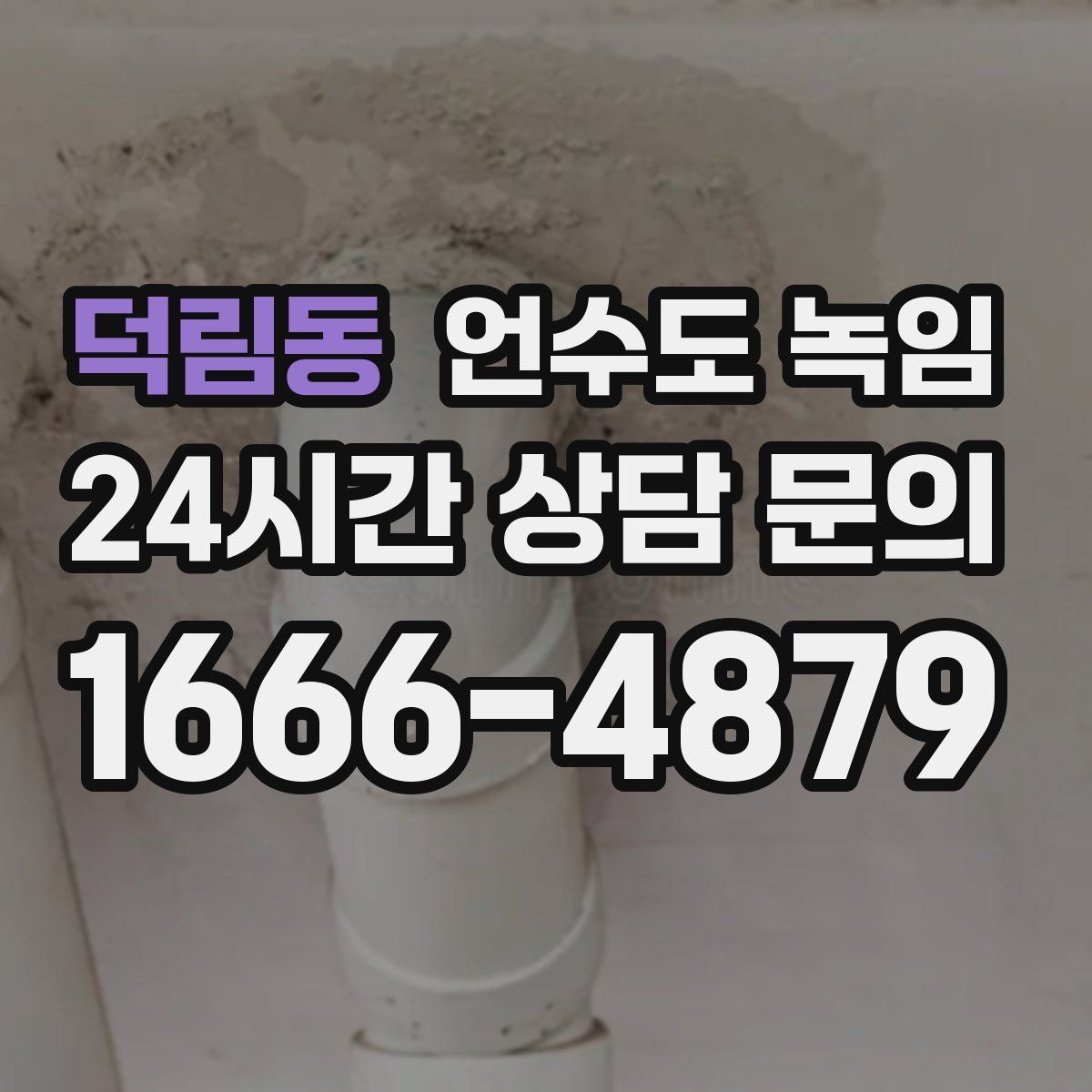 덕림동 언수도 녹임