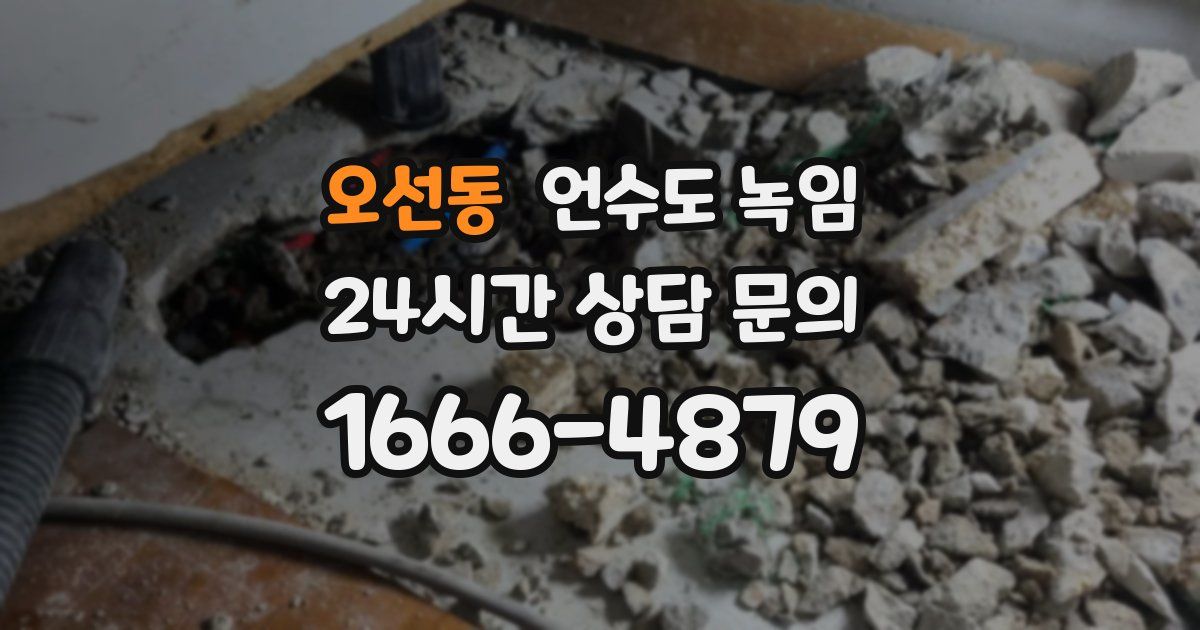 오선동 언수도 녹임