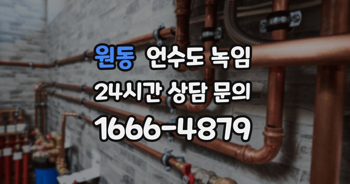 원동 언수도 녹임