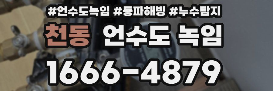 천동 언수도 녹임