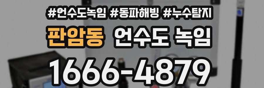 판암동 언수도 녹임