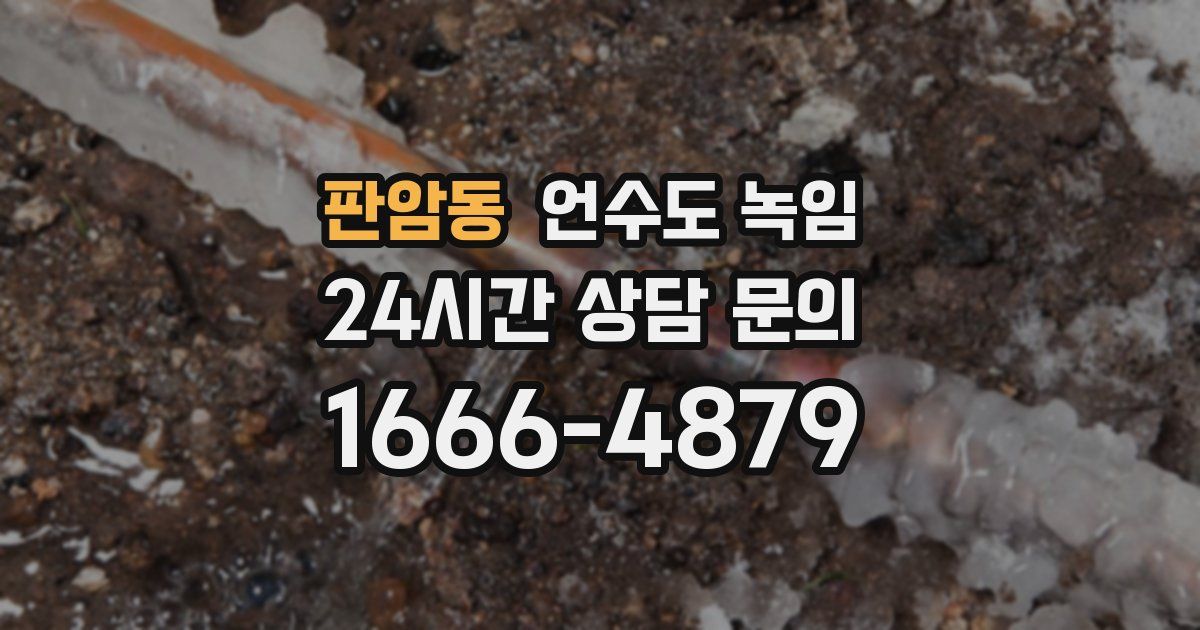 판암동 언수도 녹임