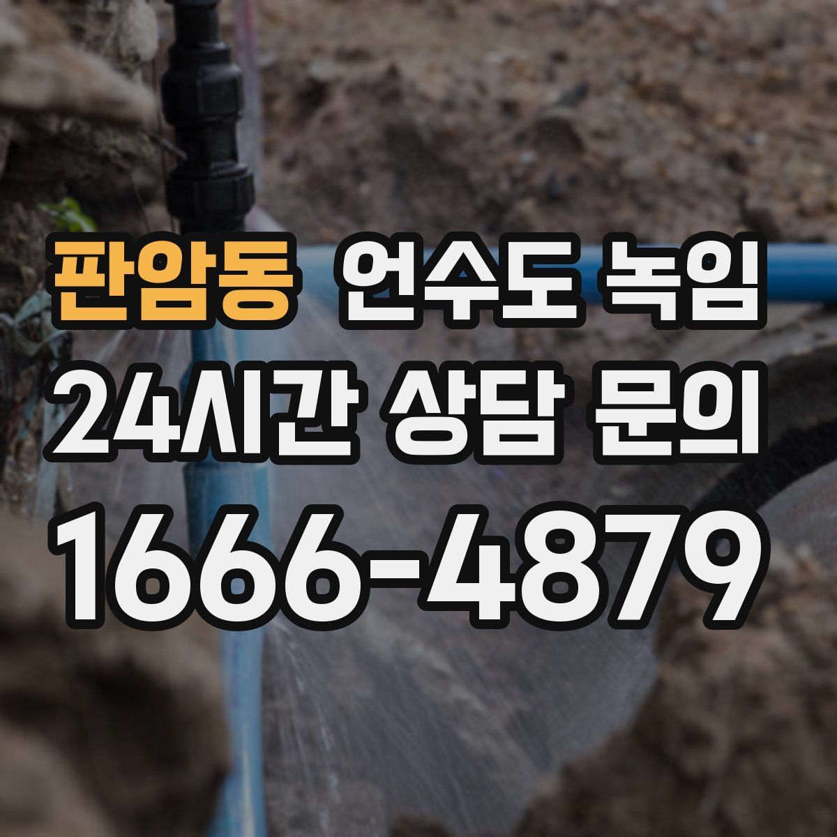 판암동 언수도 녹임
