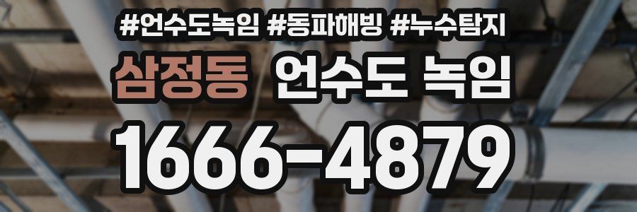 삼정동 언수도 녹임