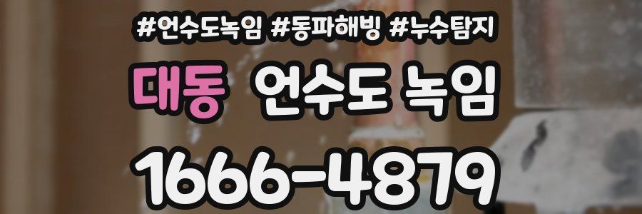 대동 언수도 녹임