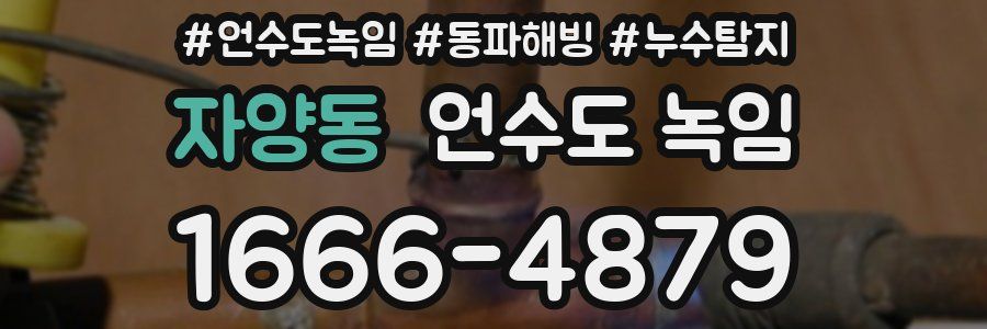 자양동 언수도 녹임